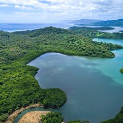 Natewa Bay Aerial