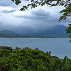 Natewa Bay Views