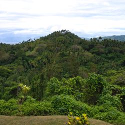 Natewa Bay Views