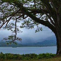 Natewa Bay Views