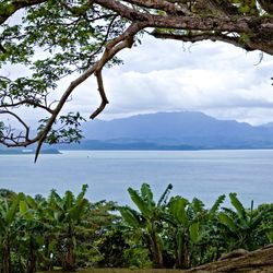 Natewa Bay Views