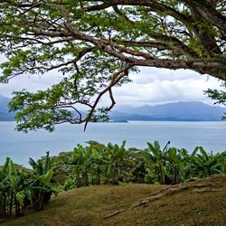 Natewa Bay Views