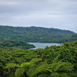 Natewa Bay Views