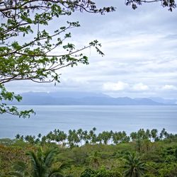 Natewa Bay Views