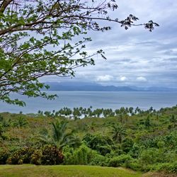 Natewa Bay Views