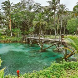 Savasi Island. Wooden bridge